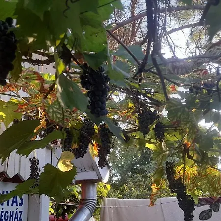 Apartament Arnyas Vendeghaz