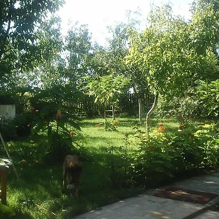 Apartament Arnyas Vendeghaz *