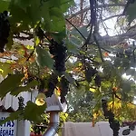Апартаменты Arnyas Vendeghaz