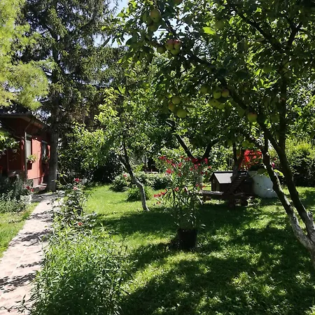 Arnyas Vendeghaz * Hajdúszoboszló