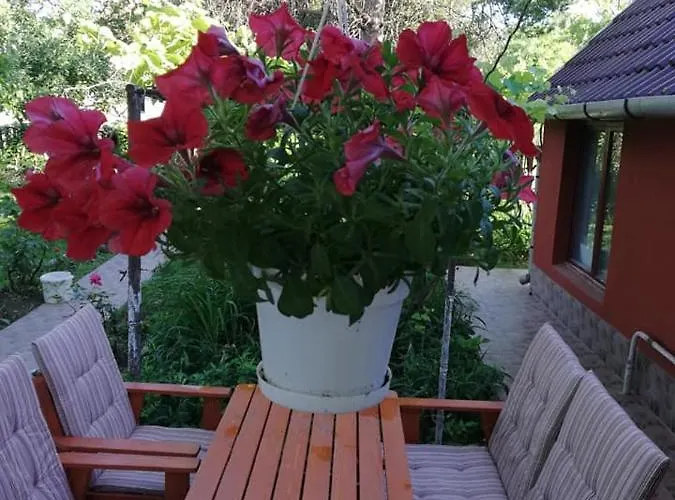 Arnyas Vendeghaz Apartment Hajdúszoboszló