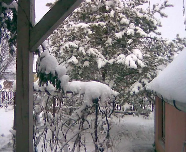 Arnyas Vendeghaz Apartment *