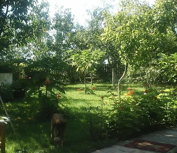 Apartment Arnyas Vendeghaz *