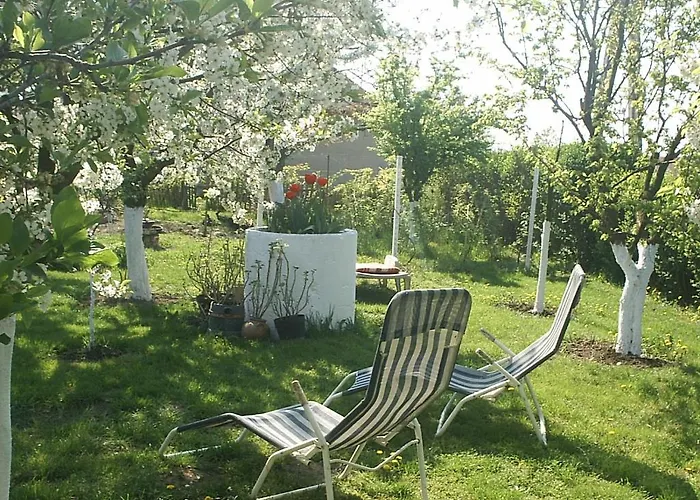 Arnyas Vendeghaz Hajdúszoboszló